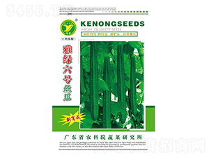 雅綠6號(hào)絲瓜-絲瓜種子-天禾農(nóng)資