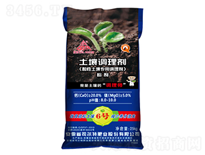 �����{�턩�ۄ�