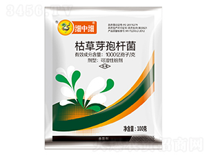 �ݲ�ѿ�ߗU��-���м�-ֲ����