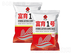 ����1̖-���׷N��-�����r(n��ng)ˇ