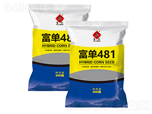 富單481-玉米種子-富爾農(nóng)藝