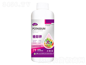 �Ǵ��-����-�sҫ�r(n��ng)�I(y��)