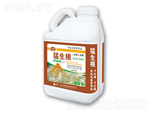 ������-�sҫ�r(n��ng)�I(y��)