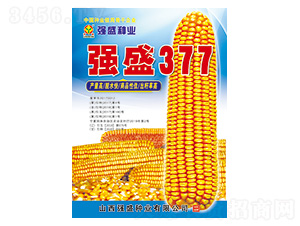 ��(qi��ng)ʢ377-���׷N��-��(qi��ng)ʢ�N�I(y��)