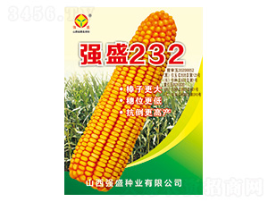 ��(qi��ng)ʢ232-���׷N��-��(qi��ng)ʢ�N�I(y��)