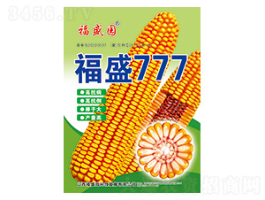 福盛777-玉米種子-強盛種業(yè)