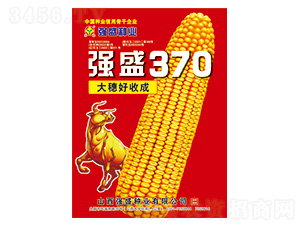 強(qiáng)盛370-玉米種子-強(qiáng)盛種業(yè)