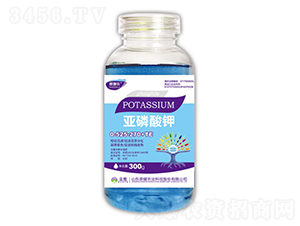 ������⛣�ƿ��-ِʩ��-�sҫ�r(n��ng)�I(y��)