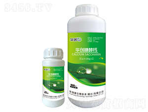 �Ǵ��}-�A��(chu��ng)