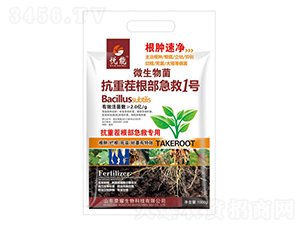 ���ز��������1̖-����-�sҫ�r(n��ng)�I(y��)