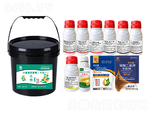 小麥便民套餐（十合一）-鄉(xiāng)村季風