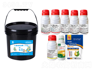 С�������ײͣ��˺�һ��-�l(xi��ng)�弾�L(f��ng)