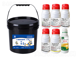 С�������ײͣ�����һ��-�l(xi��ng)�弾�L(f��ng)