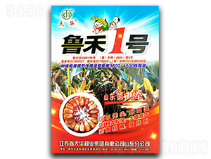 ����1̖(h��o)-���׷N��-ꃉ����A