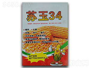 �K��34-���׷N��-ꃉ����A