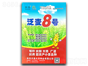 ����8̖(h��o)-С���N��-ꃉ����A