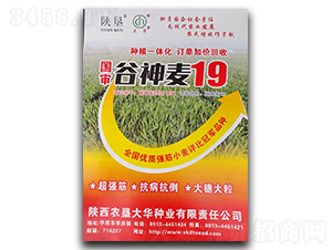 ������19-С���N��-ꃉ����A