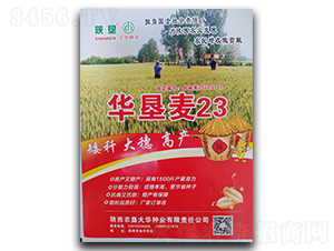 �A����23-С���N��-ꃉ����A