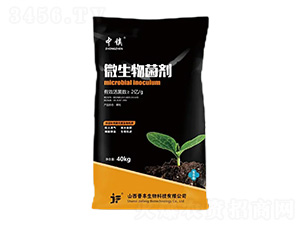 2億菌微生物菌劑-中鎮(zhèn)-晉豐生物