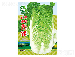 �ײ˷N��-���ѵ������h-�����r(n��ng)�I(y��)