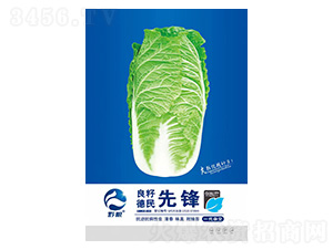 �ײ˷N��-���h-�����r(n��ng)�I(y��)