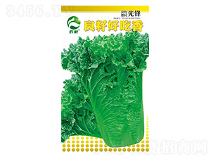 �ײ˷N��-���Ѻó���-�����r(n��ng)�I(y��)