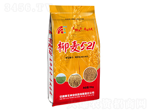 ����521С���N��-���S�N�I(y��)