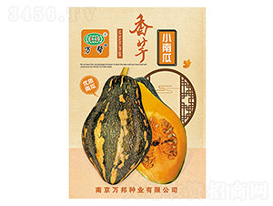 ����С�Ϲ�-�f(w��n)��N�I(y��)