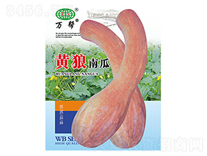 �S���Ϲ�-�f(w��n)��N�I(y��)