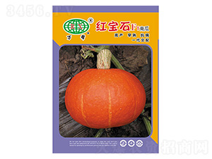 �t��ʯ-�f(w��n)��N�I(y��)