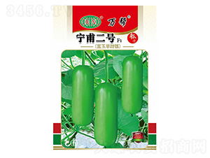 ������̖(h��o)-�f(w��n)��N�I(y��)