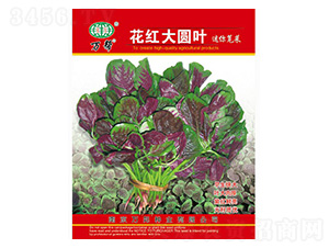 ���t��A�~�����{�˷N��-�f(w��n)��N�I(y��)