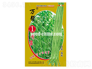 萬幫一號豇豆種子-萬邦種業(yè)