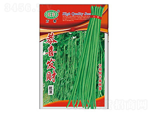 恭喜發(fā)財(cái)豇豆種子-萬邦種業(yè)
