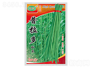 �����������N��-�f��N�I(y��)