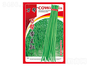 萬幫帝王豇-豇豆種子-萬邦種業(yè)