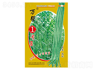 萬(wàn)幫1號(hào)豇豆種子-萬(wàn)邦種業(yè)