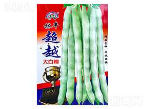 ��Խ��װ�-�|���N��-���S�N��