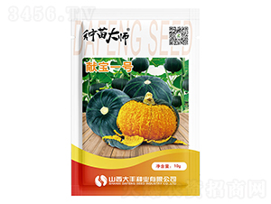 �I(xi��n)��һ̖(h��o)-�ϹϷN��-���S�N�I(y��)