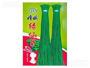 �϶�G����-�����N��-���S�N��