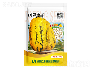 ������-�����J�N��-���S�N�I(y��)