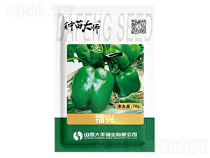 ���d-�𽷷N��-���S�N�I(y��)