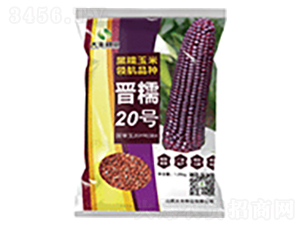 �xŴ20̖-���׷N��-���S�N�I(y��)