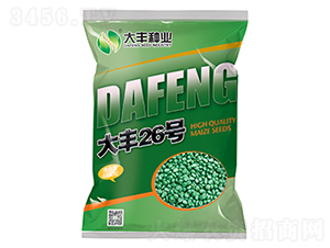 大豐26號(hào)-玉米種子-大豐種業(yè)