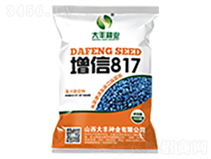 增信817-玉米種子-大豐種業(yè)
