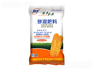 �pģ�p�ؓ������25-10-10-���S���-���S�ʘI(y��)