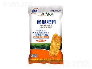 �pģ�p�ؓ������28-5-7-���S���-���S�ʘI(y��)