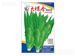 �����������-�����˷N��-���ؿƼ�