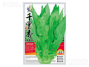 ǧ����-�����˷N��-���ؿƼ�