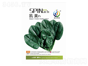 �P��-���˷N��-���ؿƼ�